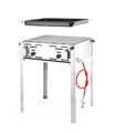 Plynový gril Grill-Master Maxi, HENDI, 11,6kW, 650x540x(H)840mm