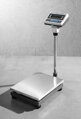 Certifikovaná obchodnícka váha, CAS, 360x580x(H)765mm