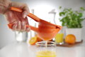 Lis na citrusy, BarUp, oranžový (pre pomaranče), 232x91x(H)60mm